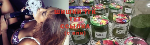 прущие грибы Алексеевка