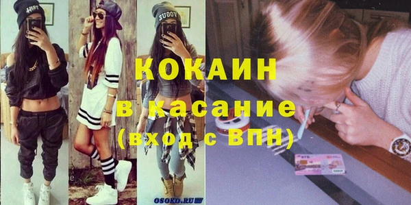 прущие грибы Алексеевка