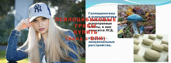 прущие грибы Алексеевка