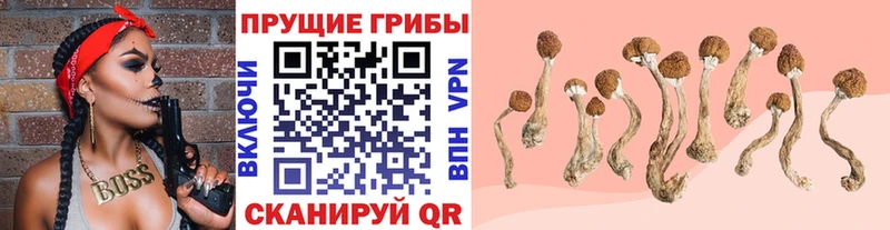 мориарти телеграм OMG ONION Псилоцибиновые грибы MAGIC MUSHROOMS Алейск купить наркотик